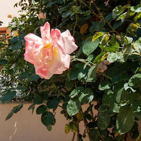 Welcomely - Il Giardino Di Lilly Appartement Oristano