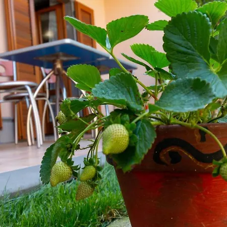 Welcomely - Il Giardino Di Lilly Apartment