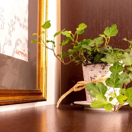 Welcomely - Il Giardino Di Lilly * Oristano